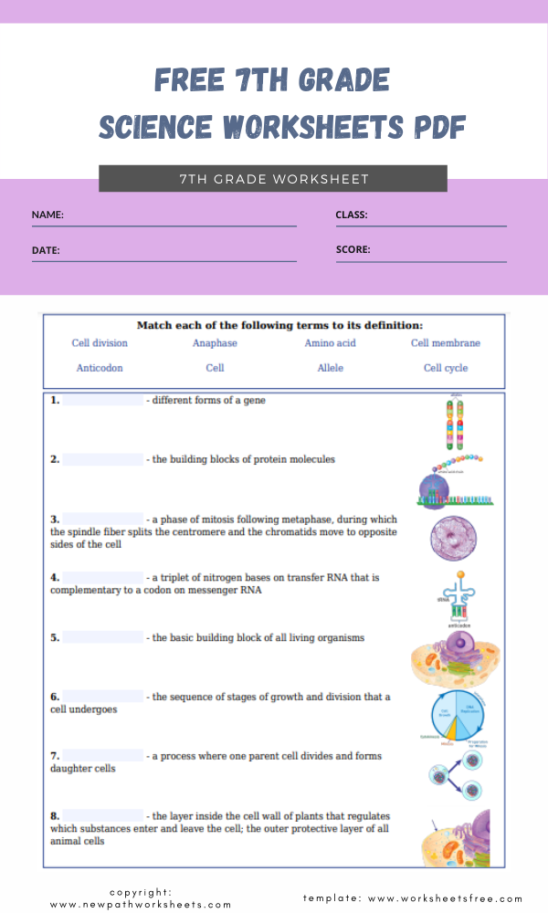 science worksheet 7th class
