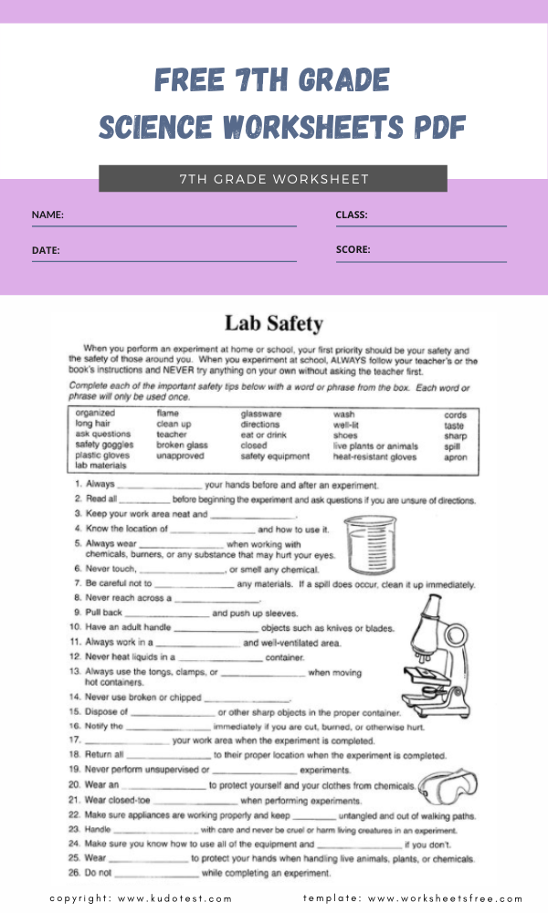 year-6-science-assessment-worksheet-with-answers-humans-including