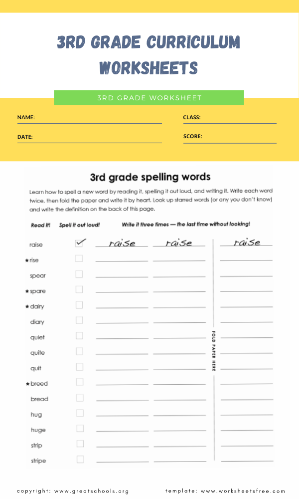 3rd Grade Curriculum Worksheets in 2023 | Worksheets Free