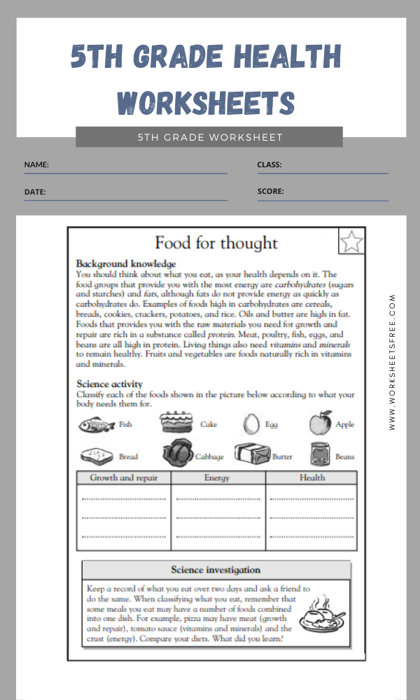 Free Printable 5th Grade Health Worksheets