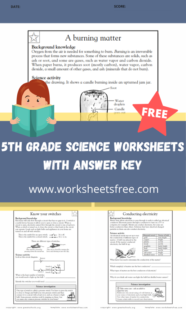 5th-grade-science-worksheets-with-answer-key-worksheets-free