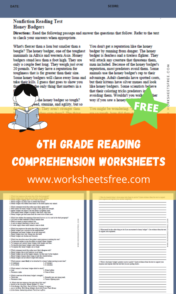 worksheets for 6th grade reading