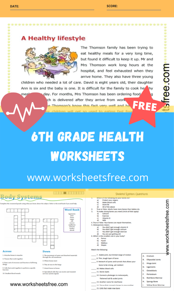 6th-grade-health-worksheets-worksheets-free