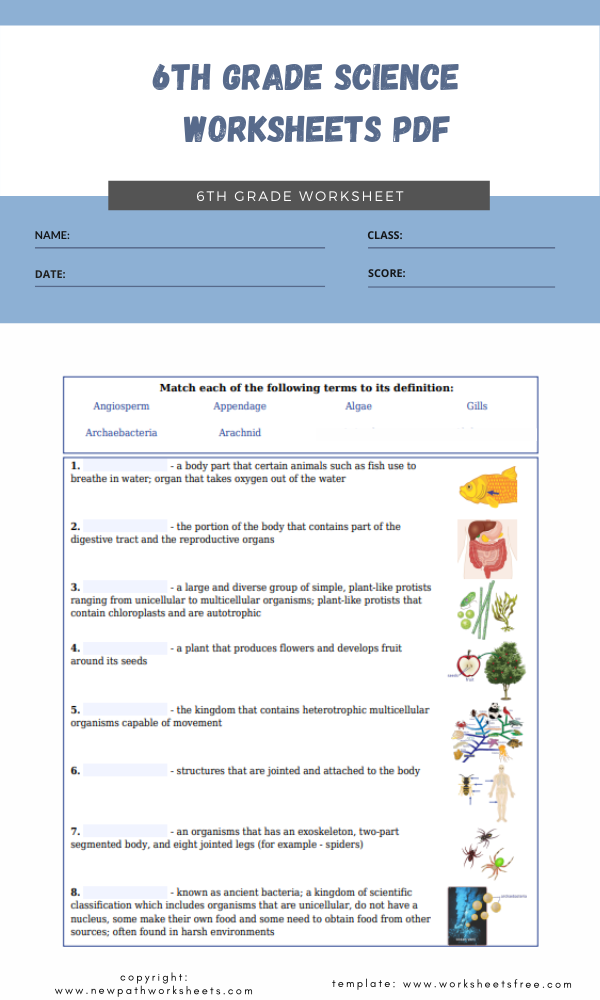 science worksheets 6th grade