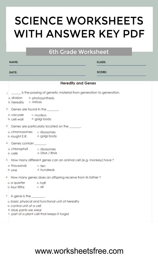 6th-grade-science-worksheets-with-answer-key-pdf-4a-worksheets-free