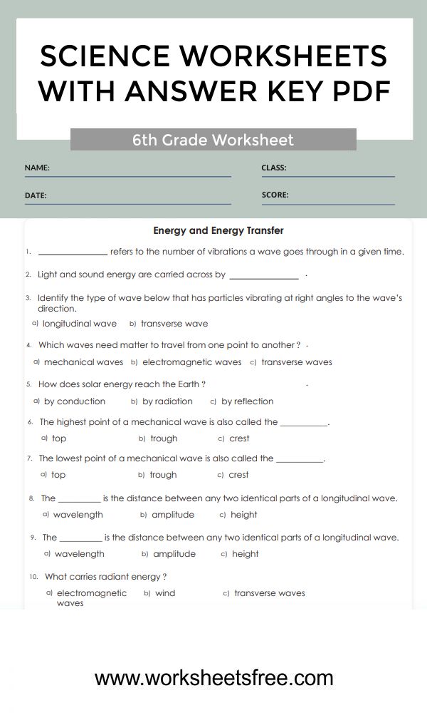 6th-grade-science-worksheets-with-answer-key-pdf-5a-worksheets-free