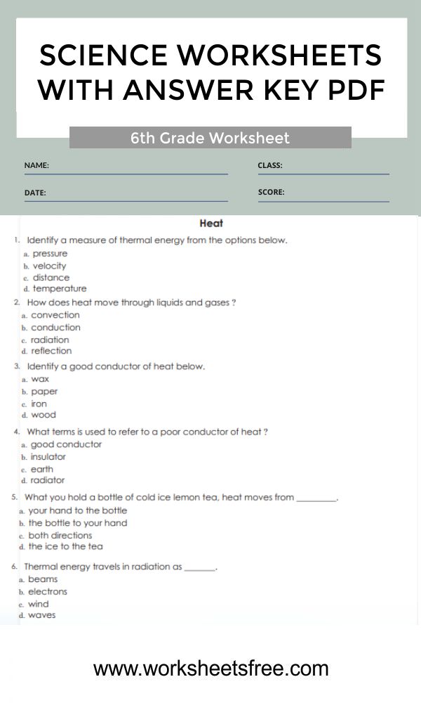 6th-grade-science-worksheets-with-answer-key-pdf-6a-worksheets-free