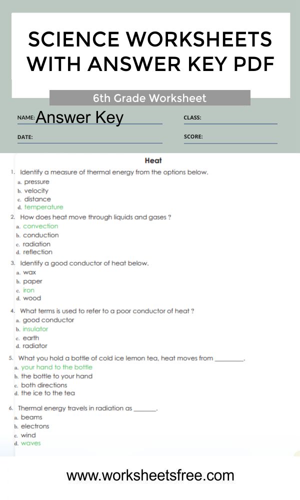6th Grade Science Worksheets With Answer Key Pdf 6b Worksheets Free