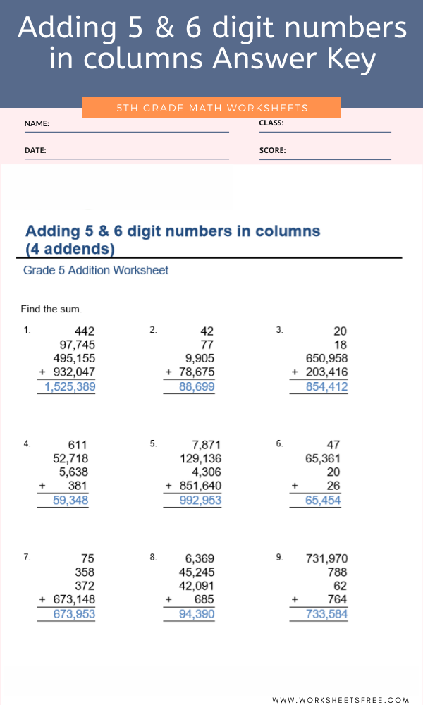 adding-5-6-digit-numbers-in-columns-answer-key-for-grade-5-worksheets-free