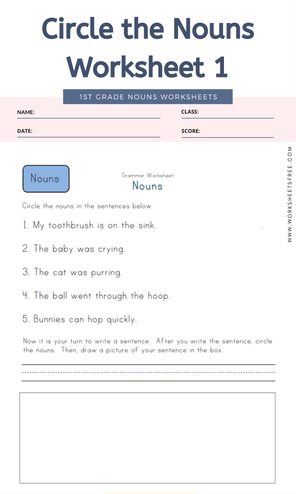 Circle The Nouns In Each Sentence Worksheet