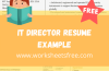 IT Director Resume Example