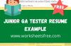 Junior QA Tester Resume Example