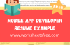 Mobile App Developer Resume Example