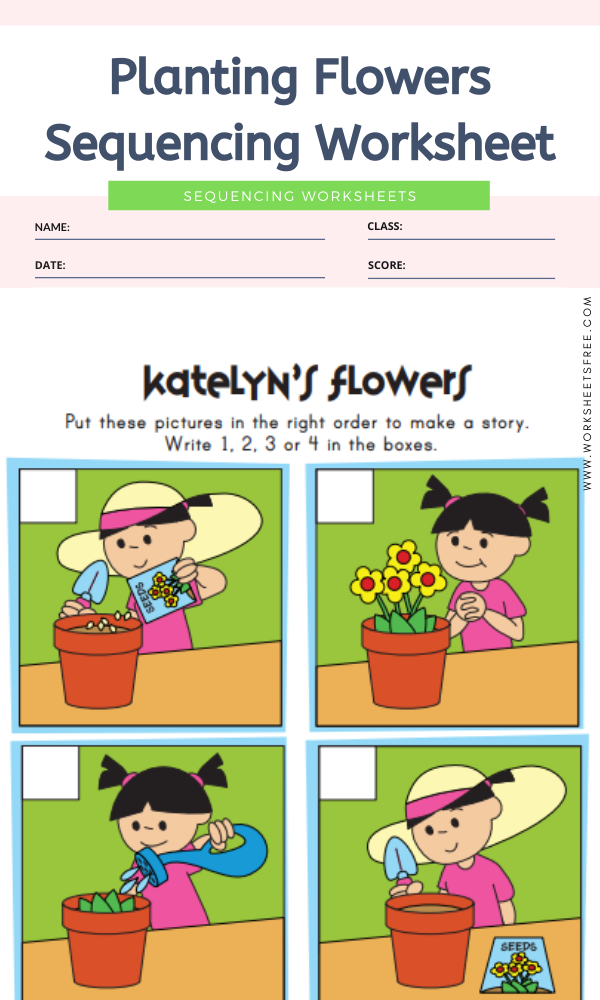 Planting Flowers Sequencing Worksheet | Worksheets Free
