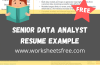 Senior Data Analyst Resume Example