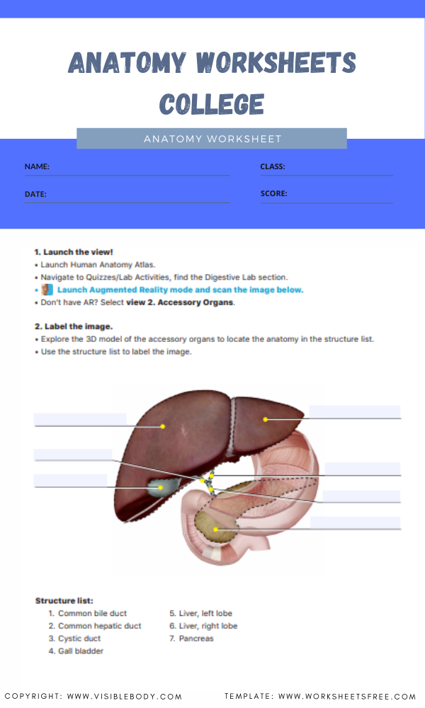 anatomy-worksheets-college-5-worksheets-free