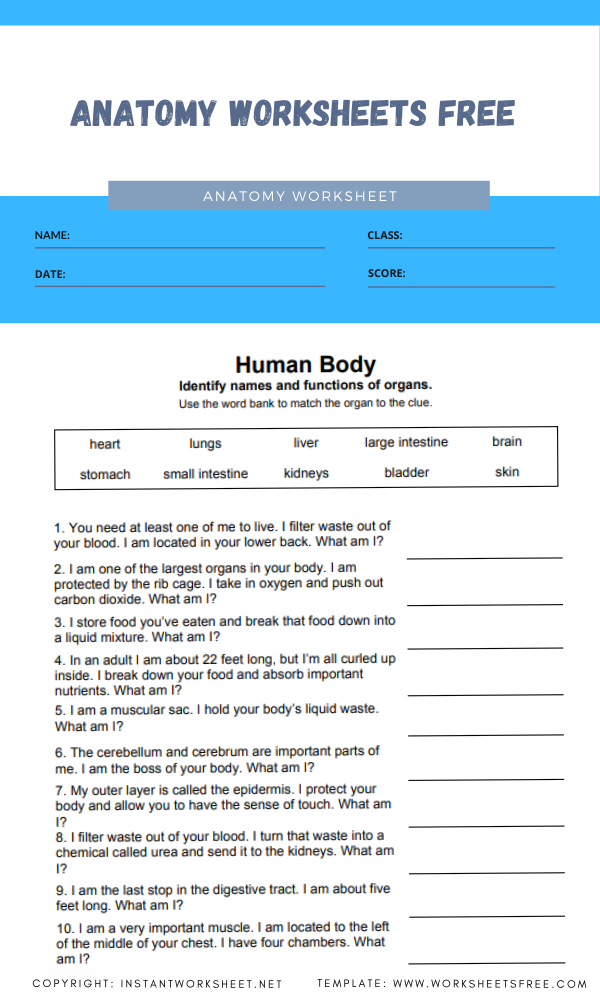 anatomy-worksheets-free-2-worksheets-free