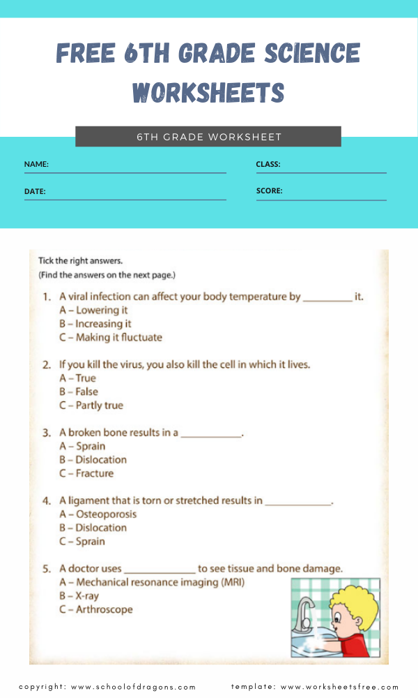 free 6th grade science worksheets 1 worksheets free