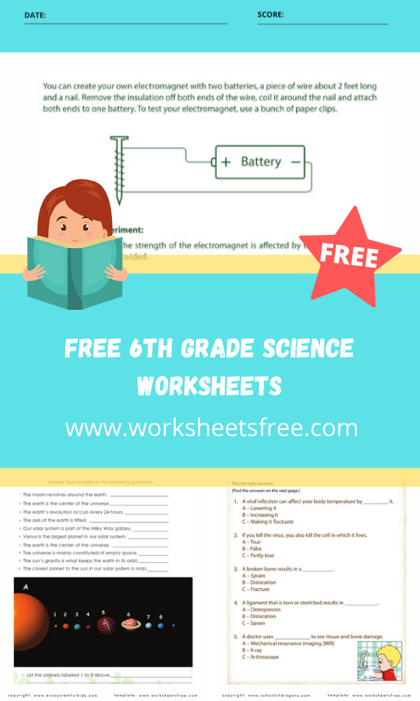 free-6th-grade-science-worksheets-worksheets-free
