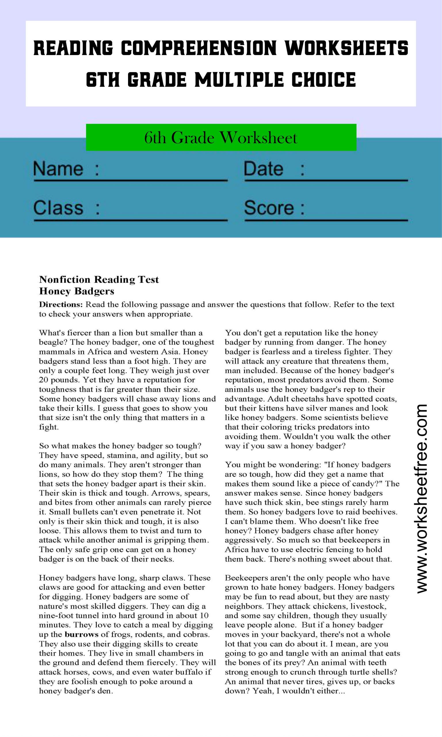 Reading Comprehension Worksheets 6th Grade Multiple Choice 1 
